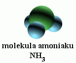 molekula amon