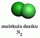 molekula n.gif(4 kb)