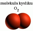 molekula o.gif(5 kb)